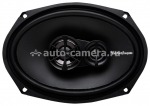 Rockford Fosgate R169X3